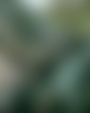 Soyut bulanık arkaplan renkleri karışık 