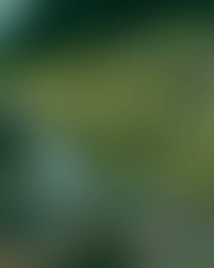 Soyut bulanık arkaplan renkleri karışık 