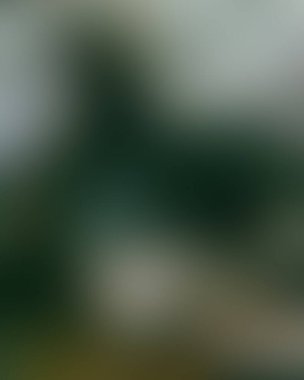 Soyut bulanık arkaplan renkleri karışık 