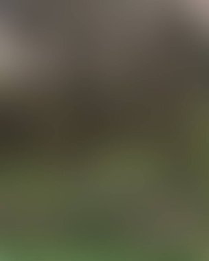 Soyut bulanık arkaplan renkleri karışık 