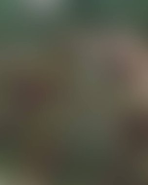 Soyut bulanık arkaplan renkleri karışık 