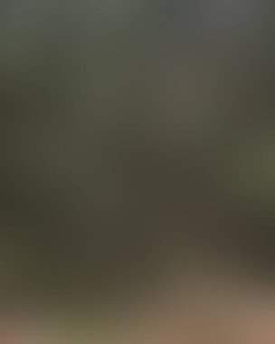 Soyut bulanık arkaplan renkleri karışık 