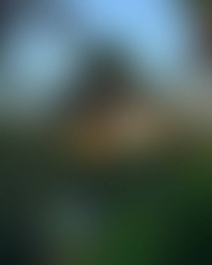 Soyut bulanık arkaplan renkleri karışık 