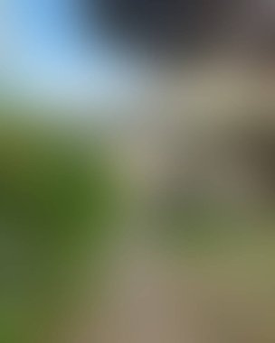 Soyut bulanık arkaplan renkleri karışık 