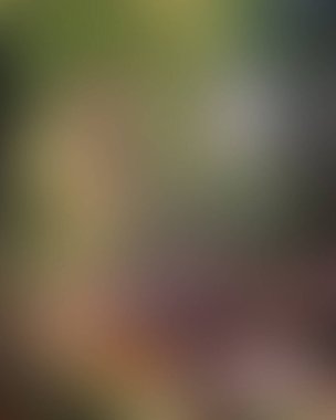 Soyut bulanık arkaplan renkleri karışık 