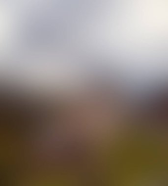 Soyut bulanık arkaplan renkleri karışık 