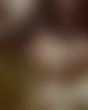 Soyut bulanık arkaplan renkleri karışık 