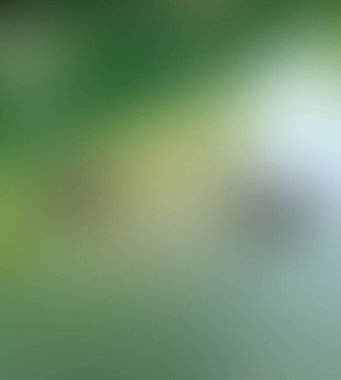 Soyut bulanık arkaplan renkleri karışık 