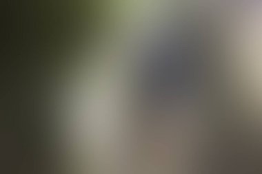 Soyut bulanık arkaplan renkleri karışık 