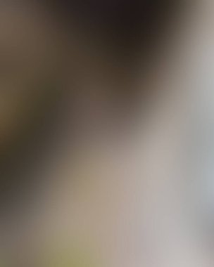 Soyut bulanık arkaplan renkleri karışık 