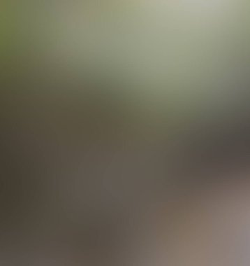 Soyut bulanık arkaplan renkleri karışık 