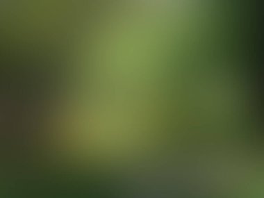 Soyut bulanık arkaplan renkleri karışık 