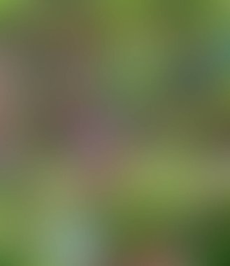 Soyut bulanık arkaplan renkleri karışık 