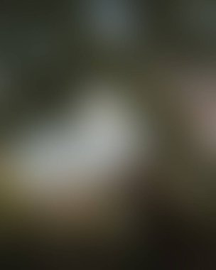 Soyut bulanık arkaplan renkleri karışık 