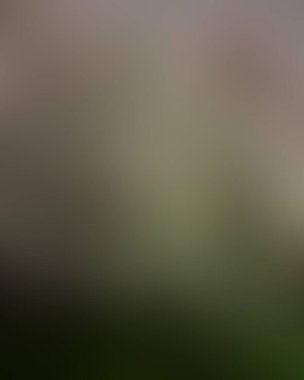 Soyut bulanık arkaplan renkleri karışık 