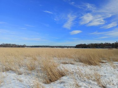 Arabistan 'a park et, Helsinki..
