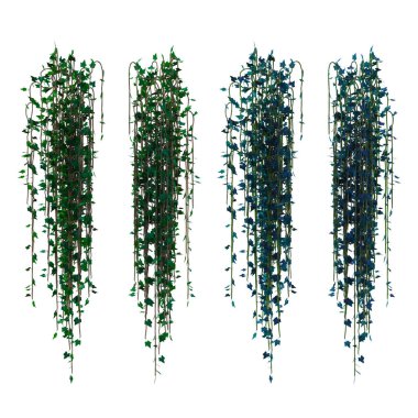 3D sarmaşık sarmaşıklarını izole et