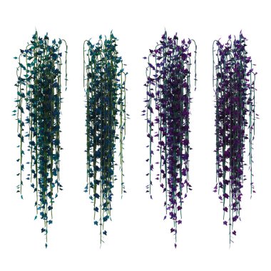 3D sarmaşık sarmaşıklarını izole et