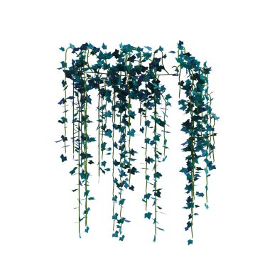 3D sarmaşık sarmaşıklarını izole et