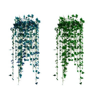 3D sarmaşık sarmaşıklarını izole et