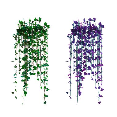 3D sarmaşık sarmaşıklarını izole et