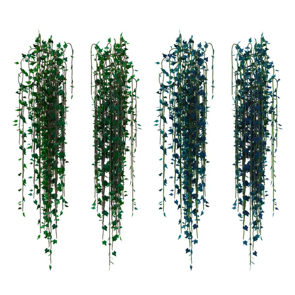 3D sarmaşık sarmaşıklarını izole et