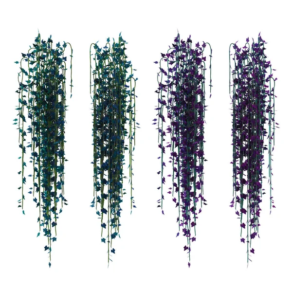 3D sarmaşık sarmaşıklarını izole et