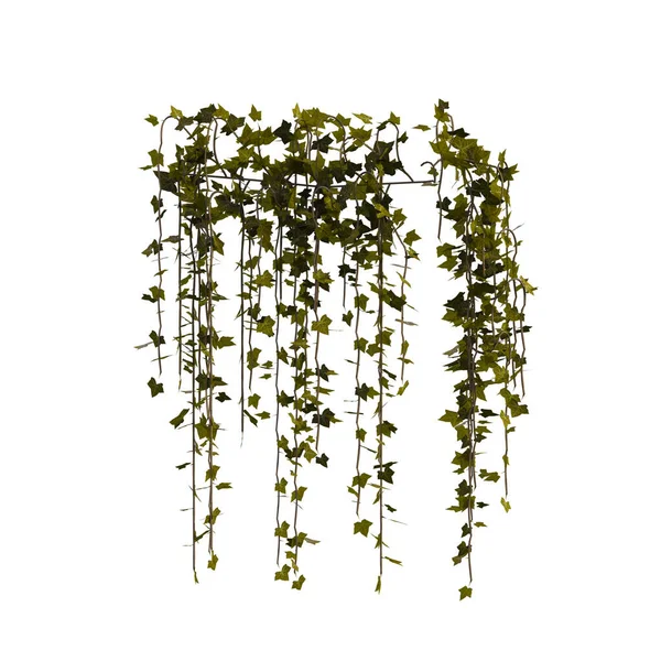 3D sarmaşık sarmaşıklarını izole et