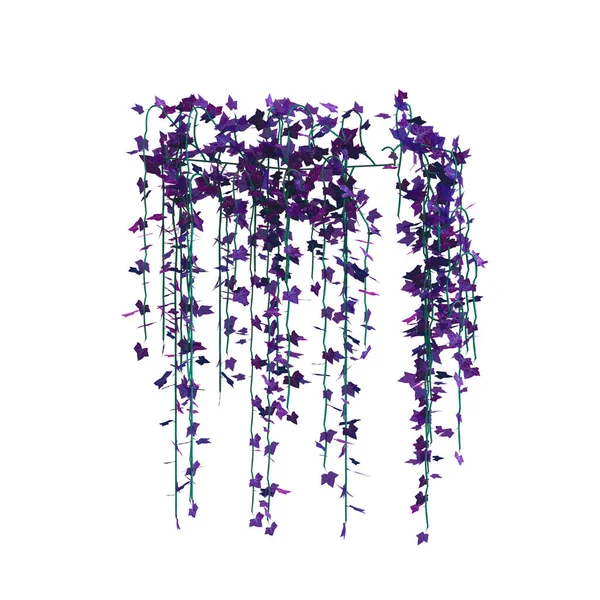 3D sarmaşık sarmaşıklarını izole et