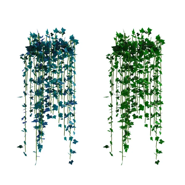 3D sarmaşık sarmaşıklarını izole et