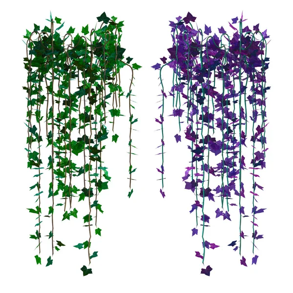 3D sarmaşık sarmaşıklarını izole et