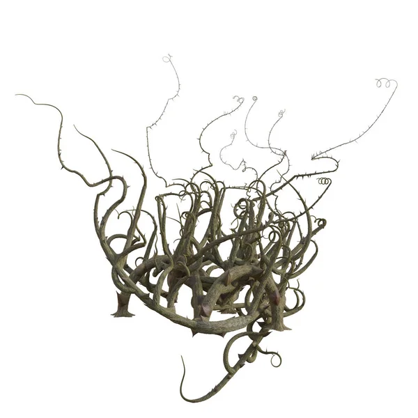 3D izole dikenli dikenli yama