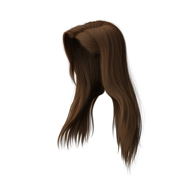 Rendering Straight Brown Hair Isolated — Stock Fotó