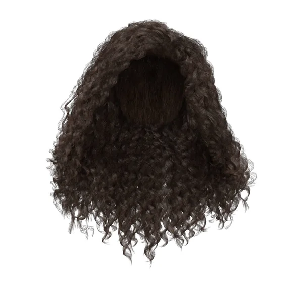 Rendering Curly Brown Hair Isolated — Stock Fotó