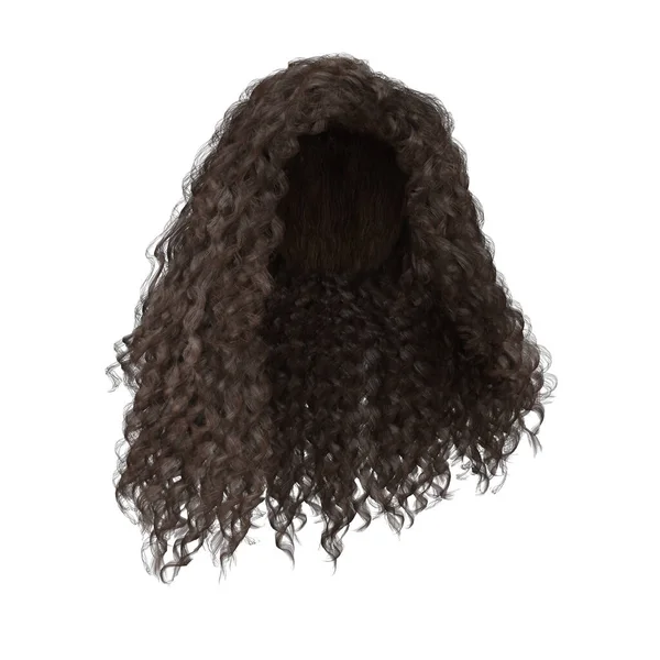 Rendering Curly Brown Hair Isolated — Stock Photo, Image