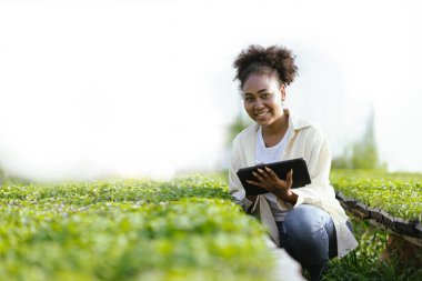 Genetikçiler, biyologlar ve bilim adamları bir bebek odasında sebzelerin genetik yapısını inceliyorlar..