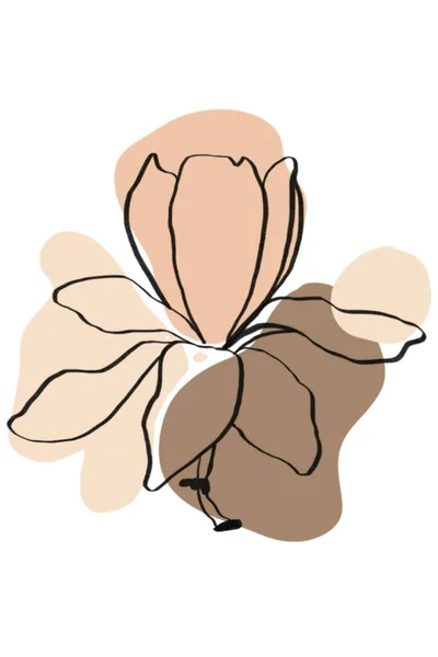 Floral Illustration Line Art Colores Cálidos Acogedores Vector — Foto de Stock