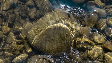Taşlar güzel bir akıntıyla sığ bir nehirde yatıyor.