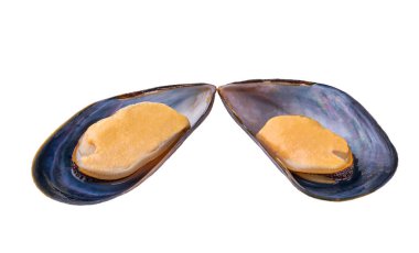 Kaynamış midyeler beyaz arkaplanda kırpma yolu ile izole edilmiş..