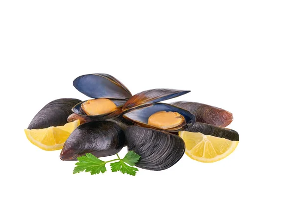 Cooked Mussels Lemon Parsley Isolated White Background — Stock Photo, Image