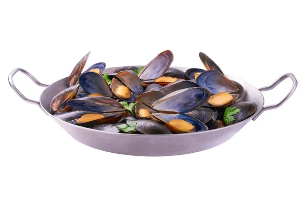Boiled Mussels Pan Isolated White Background — Stock Photo, Image