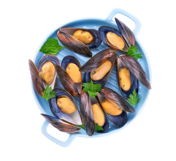 Mussels White Wine Sauce Bowl Classic French Meal Mussels Marinade — Stock Photo, Image