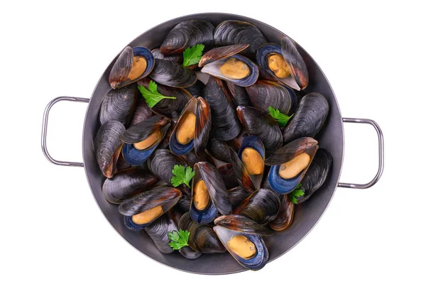 Boiled Mussels Pan Isolated White Background Top View — Stock Photo, Image