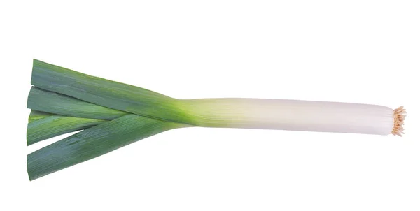 Alho Porro Único Isolado Sobre Fundo Branco Com Caminho Recorte — Fotografia de Stock