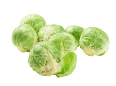 Brüksel lahanası lahana beyaz zemin üzerine izole.