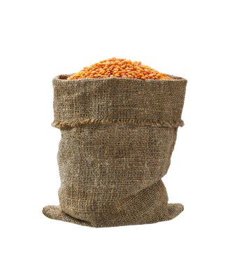 Beyaz arka planda izole edilmiş organik kırmızı mercimekler. Mercimek çuval içinde..