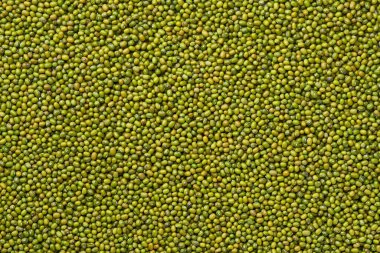 Yeşil fasulye arkaplan yakın çekim üst görünüm.