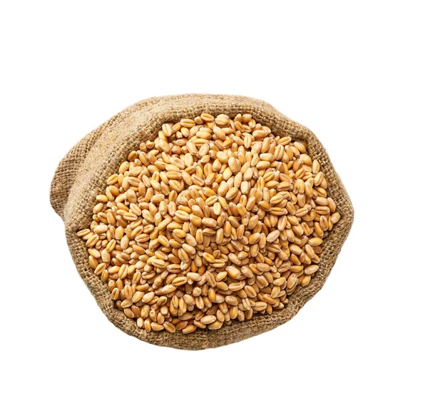 Organic Wheat Grains Sack Isolated White Background Wheat Grains Sack — Stock Fotó