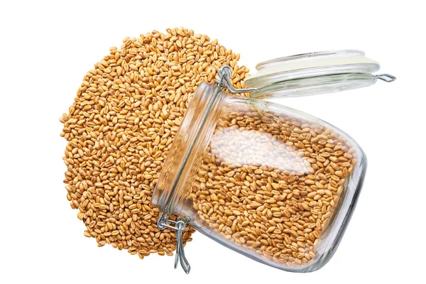 Organic Wheat Grains Spill Out Glass Storage Jar Isolated White — 스톡 사진