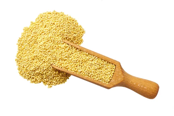 Small Wooden Spoon Scoop Millet Yellow Grains Isolated White Background — Fotografia de Stock